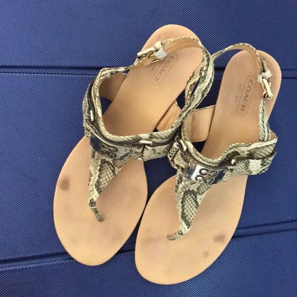 Coach Danielle Sandal - Picture 3 of 4